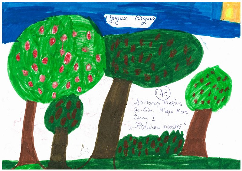 43_Marius DOMOCOS_Miresu Mare.jpg